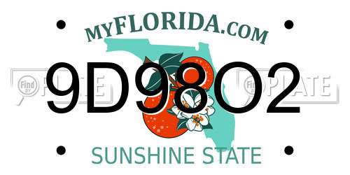 9D98O2 Florida License Plate