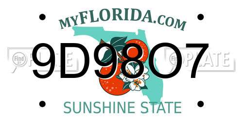 9D98O7 Florida License Plate
