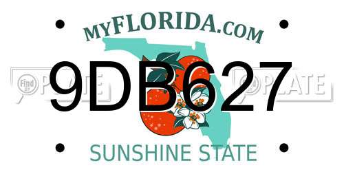 9DB627 Florida License Plate