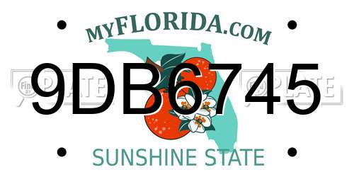 9DB6745 Florida License Plate