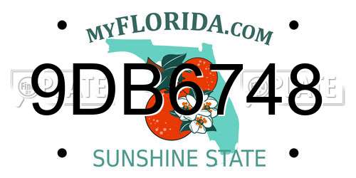 9DB6748 Florida License Plate