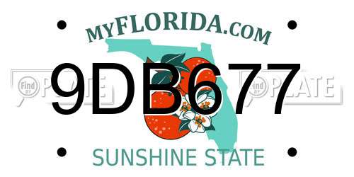 9DB677 Florida License Plate