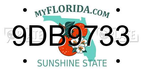 9DB9733 Florida License Plate