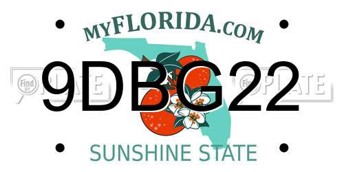 9DBG22 Florida License Plate