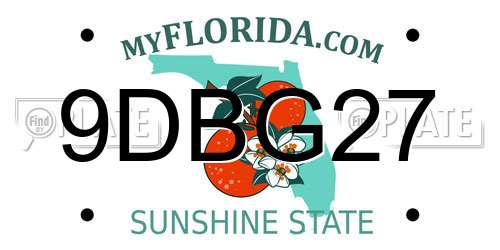 9DBG27 Florida License Plate