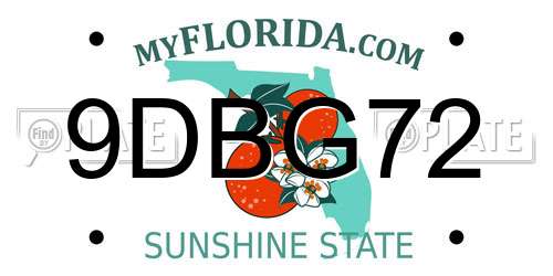 9DBG72 Florida License Plate