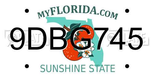 9DBG745 Florida License Plate