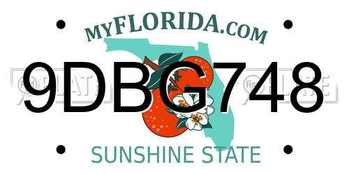 9DBG748 Florida License Plate