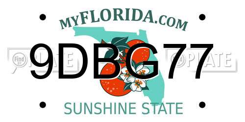 9DBG77 Florida License Plate