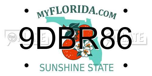 9DBR86 Florida License Plate