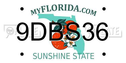 9DBS36 Florida License Plate