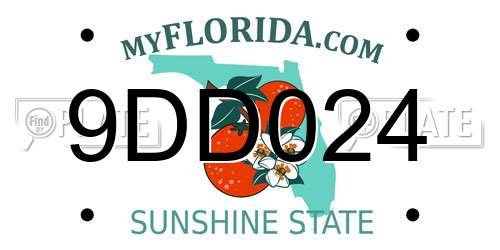 9DD024 Florida License Plate