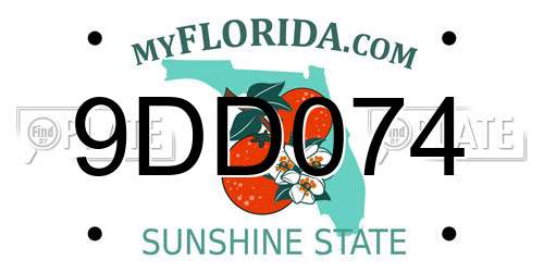 9DD074 Florida License Plate