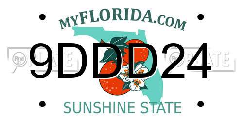 9DDD24 Florida License Plate