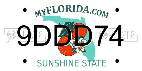 9DDD74 Florida License Plate