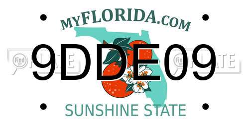 9DDE09 Florida License Plate