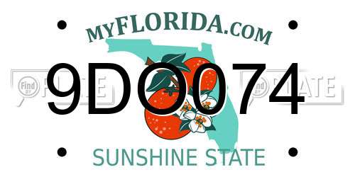 9DO074 Florida License Plate