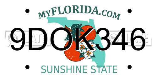 9DOK346 Florida License Plate