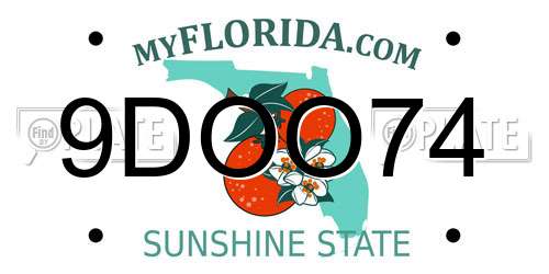 9DOO74 Florida License Plate