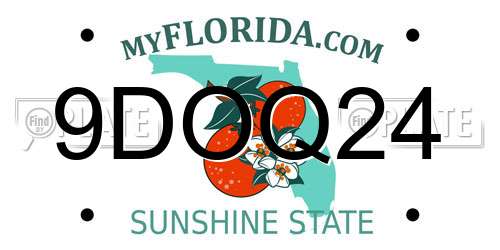 9DOQ24 Florida License Plate