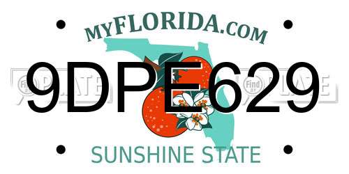 9DPE629 Florida License Plate