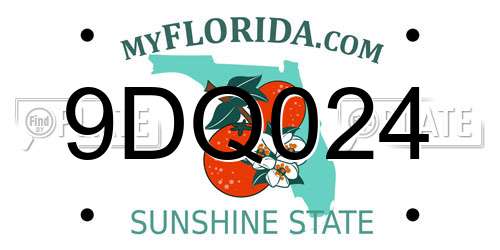 9DQ024 Florida License Plate