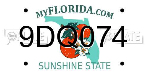 9DQ074 Florida License Plate