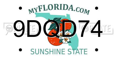 9DQD74 Florida License Plate