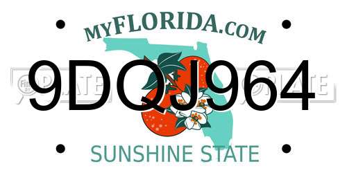 9DQJ964 Florida License Plate
