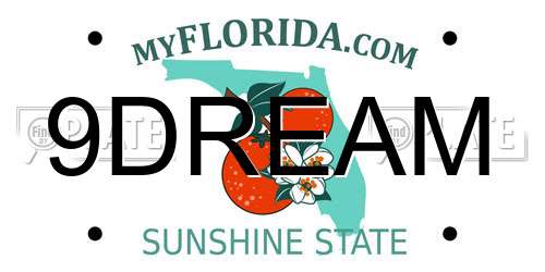 9DREAM Florida License Plate