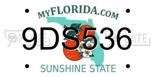 9DS536 Florida License Plate
