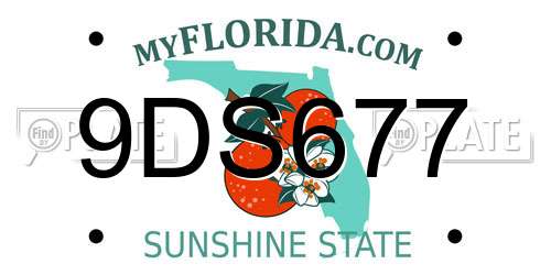 9DS677 Florida License Plate