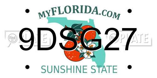 9DSG27 Florida License Plate