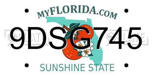 9DSG745 Florida License Plate