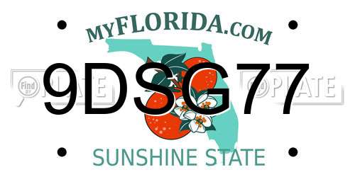 9DSG77 Florida License Plate