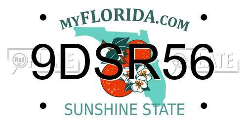 9DSR56 Florida License Plate