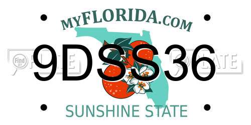 9DSS36 Florida License Plate