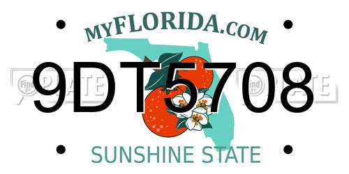9DT5708 Florida License Plate