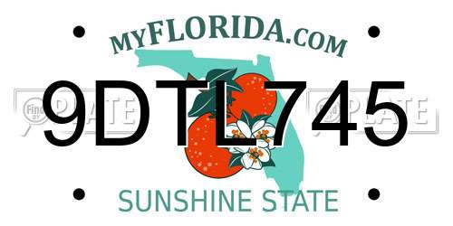 9DTL745 Florida License Plate