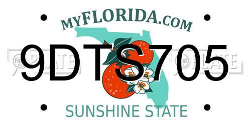 9DTS705 Florida License Plate