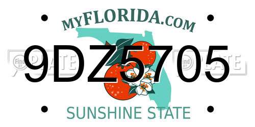 9DZ5705 Florida License Plate