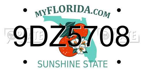 9DZ5708 Florida License Plate