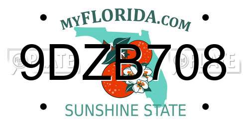 9DZB708 Florida License Plate