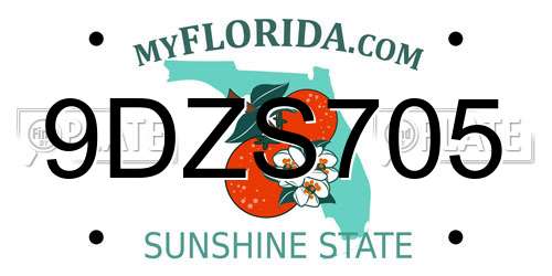 9DZS705 Florida License Plate
