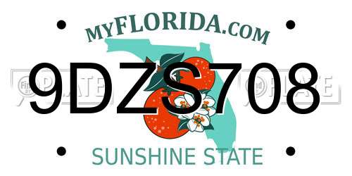 9DZS708 Florida License Plate