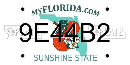 9E44B2 Florida License Plate
