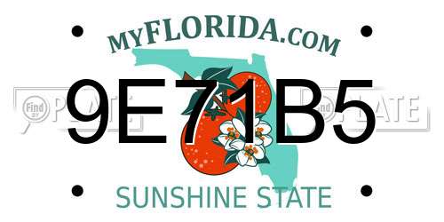 9E71B5 Florida License Plate