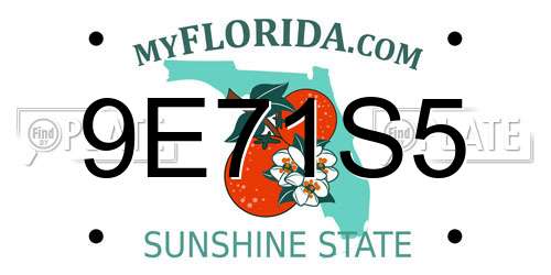 9E71S5 Florida License Plate