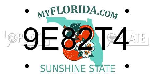 9E82T4 Florida License Plate