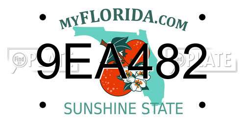 9EA482 Florida License Plate
